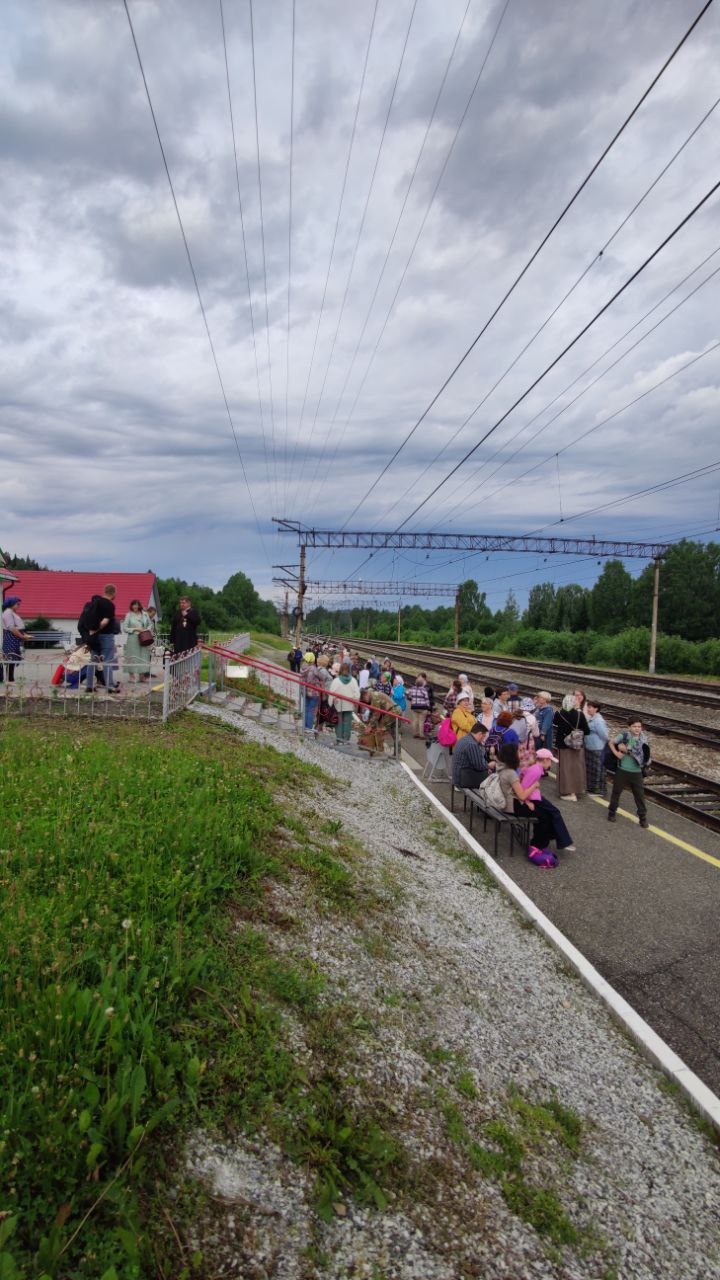 2025_06_24_04_Петухов Лог_001